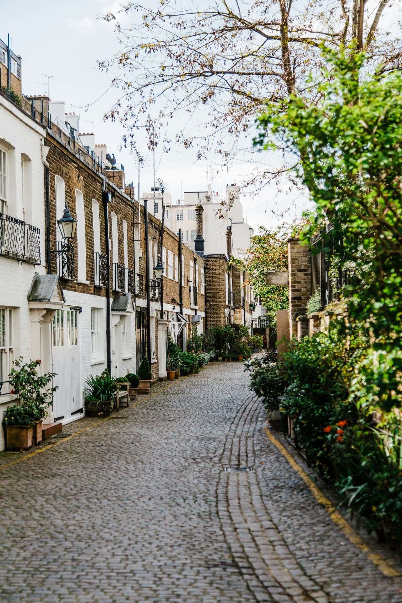 Street scene in Holland Park, London